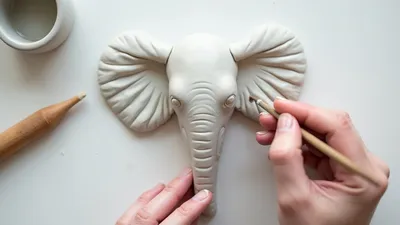 trunk and ears shaping